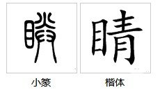 睛一年级组词语有哪些