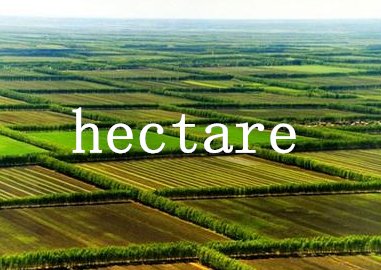 公顷用英文怎么表示