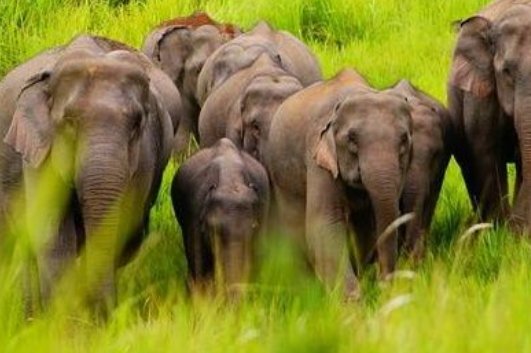 2021年国家大事件有哪些？