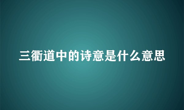 三衢道中的诗意是什么意思