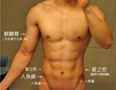 人鱼线是哪里？