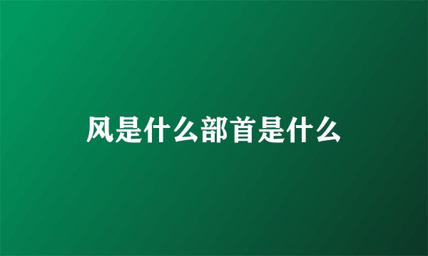 风是什么部首是什么