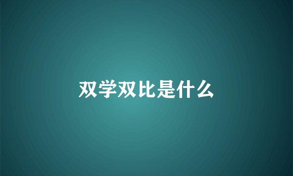 双学双比是什么