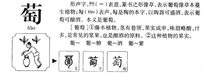 葡萄的萄字还有什么组词