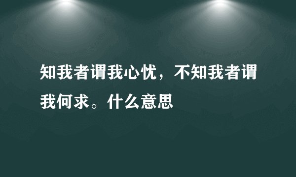 知我者谓我心忧,不知我者谓我何求。什么意思