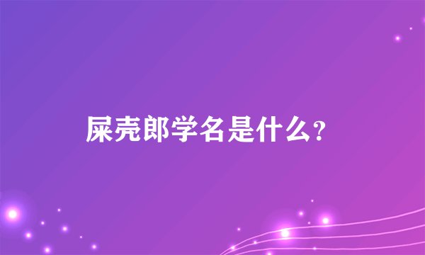 屎壳郎学名是什么？