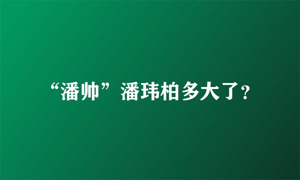 “潘帅”潘玮柏多大了？