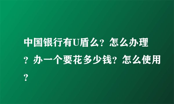 中国银行有U盾么？怎么办理？办一个要花多少钱？怎么使用？