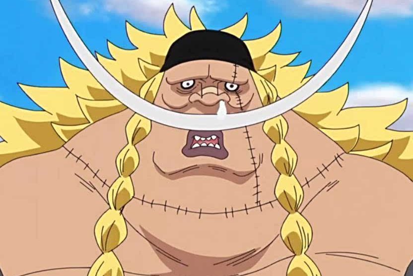 《海贼王》爱德华威布尔是白胡子亲儿子的可能性有多大呢？