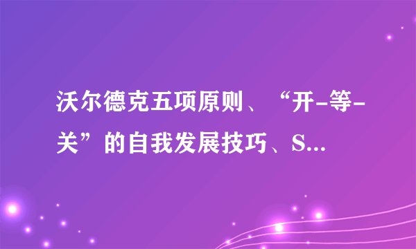 沃尔德克五项原则、“开-等-关”的自我发展技巧、SWOT 分析法、莫顿的问题解决模型这些原则，求解释