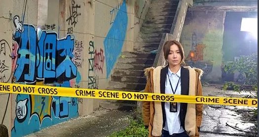 《鉴侦英雄》讲的什么故事