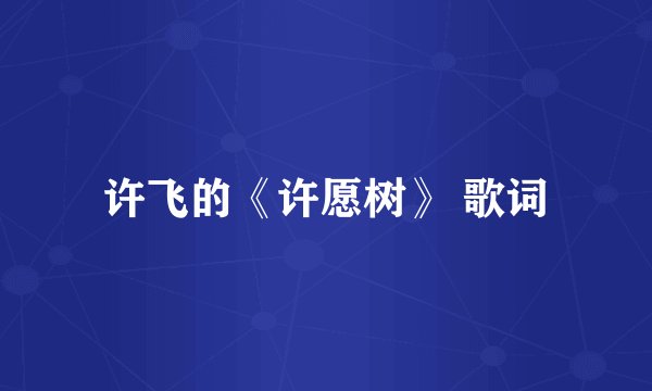 许飞的《许愿树》 歌词