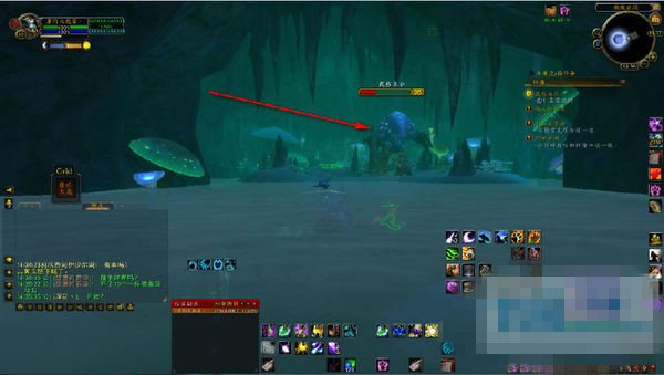 魔兽世界戴格米尔在哪里 真菌组织在什么地方