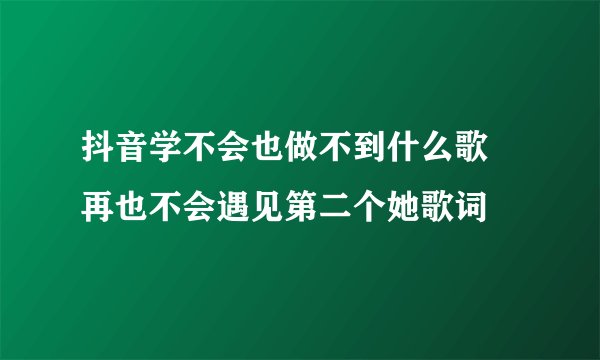 抖音学不会也做不到什么歌 再也不会遇见第二个她歌词