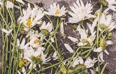 网恋多久见面合适呢这几个时间段可以考虑