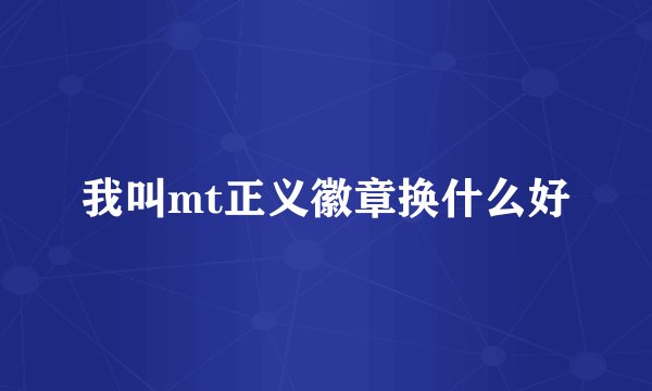 我叫mt正义徽章换什么好