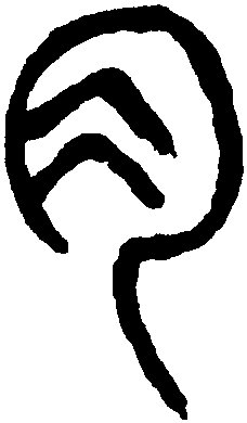 月字旁的字和什么有关？