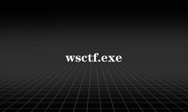 wsctf.exe