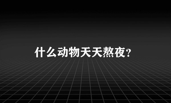 什么动物天天熬夜？