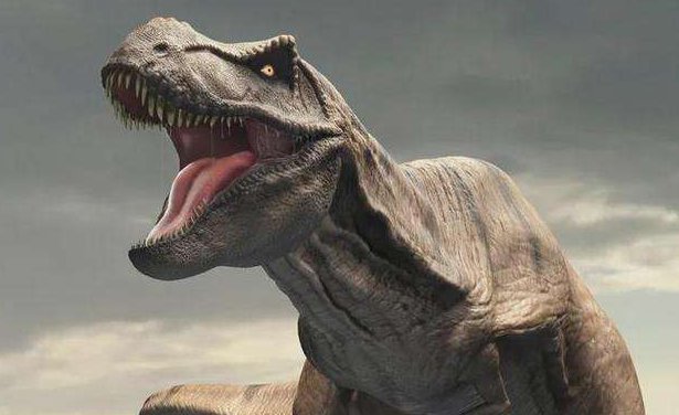 恐龙的名字有哪些?