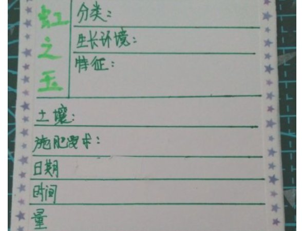 植物记录卡怎么做？