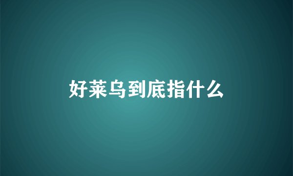 好莱乌到底指什么