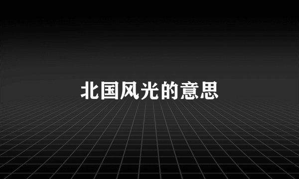 北国风光的意思