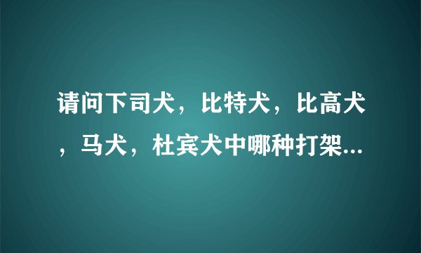请问下司犬，比特犬，比高犬，马犬，杜宾犬中哪种打架最厉害，最凶，对主人最服从。