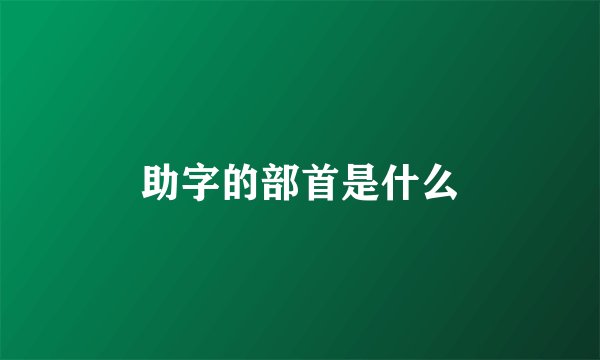 助字的部首是什么