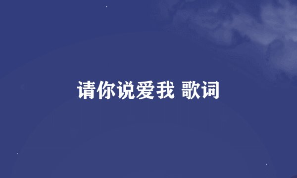 请你说爱我 歌词
