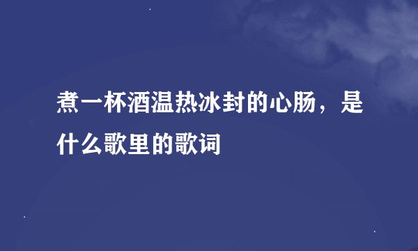 煮一杯酒温热冰封的心肠，是什么歌里的歌词