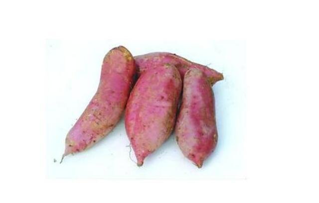 五谷杂粮指的是那五种东西