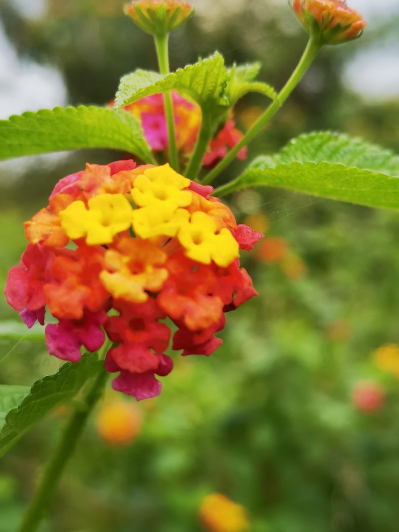 我在工商银行卡出现充值两字是什么意思？