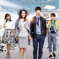 《女总裁的贴身高手》的简介是什么?