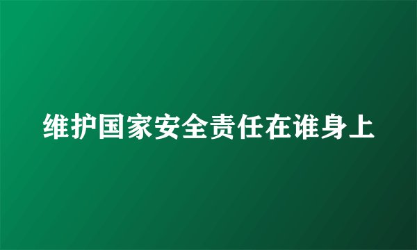 维护国家安全责任在谁身上