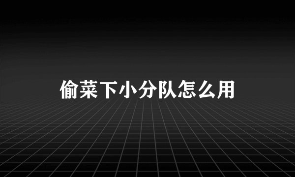 偷菜下小分队怎么用