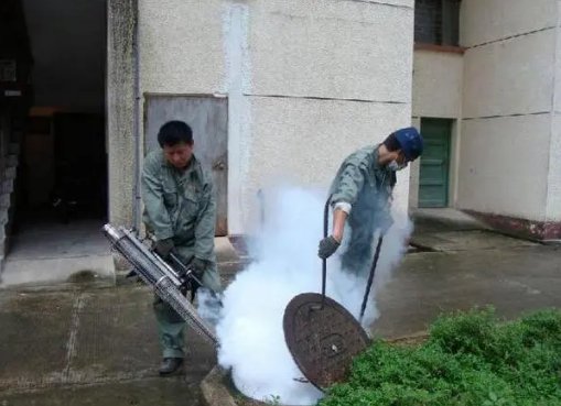 灭蟑螂的专业公司是什么？