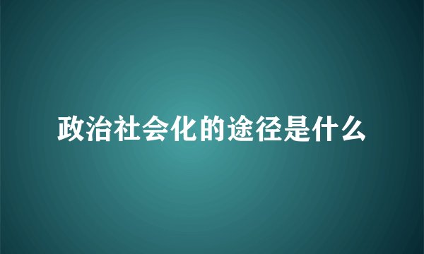 政治社会化的途径是什么