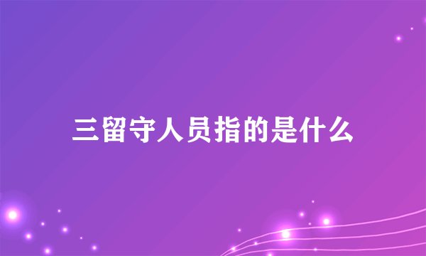 三留守人员指的是什么