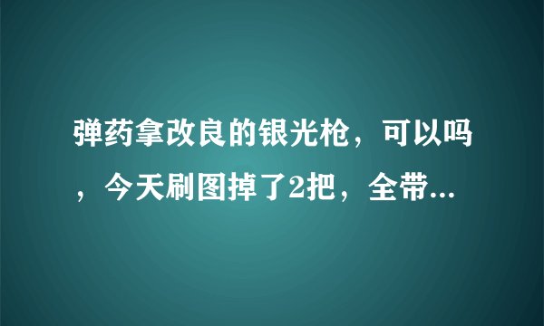 弹药拿改良的银光枪，可以吗，今天刷图掉了2把，全带红字，如果可以洗一把。