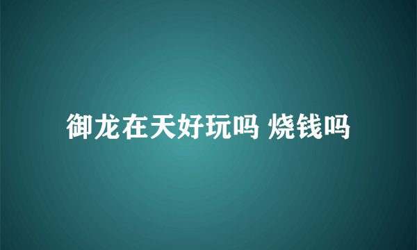 御龙在天好玩吗 烧钱吗