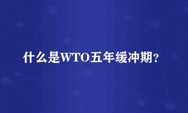 什么是WTO五年缓冲期？