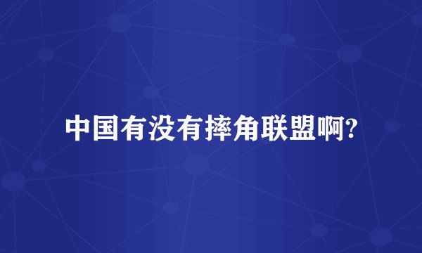 中国有没有摔角联盟啊?