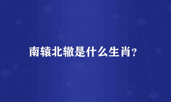 南辕北辙是什么生肖？