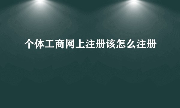 个体工商网上注册该怎么注册