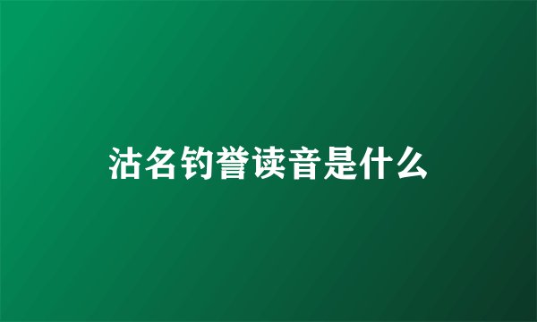 沽名钓誉读音是什么