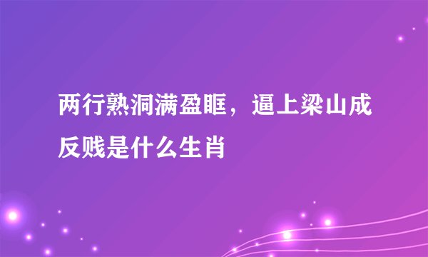 两行熟洞满盈眶，逼上梁山成反贱是什么生肖