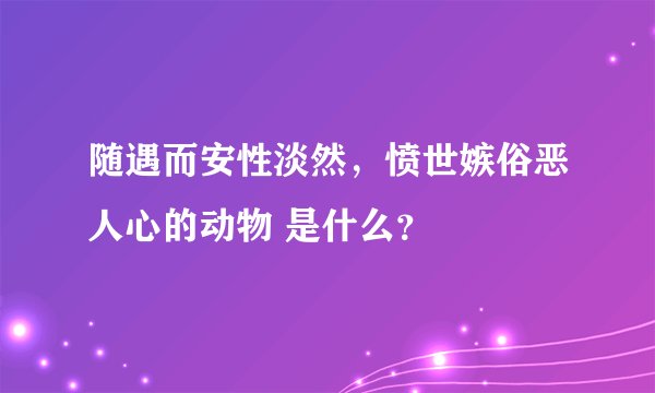 随遇而安性淡然，愤世嫉俗恶人心的动物 是什么？