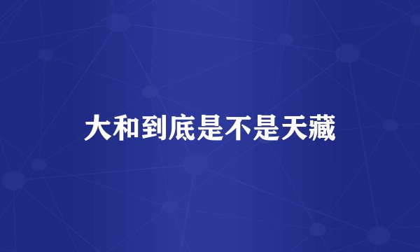大和到底是不是天藏