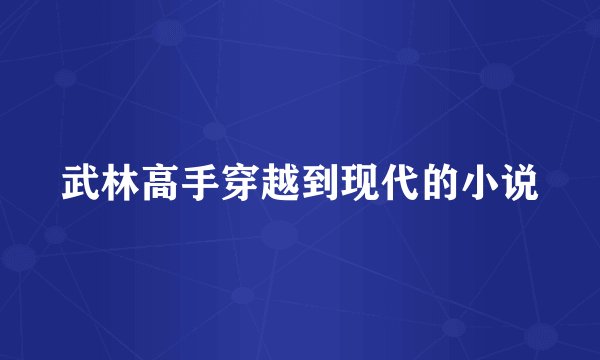 武林高手穿越到现代的小说